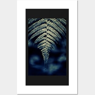 Forever Fern Posters and Art